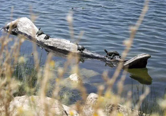 تالاب هشیلان کجاست