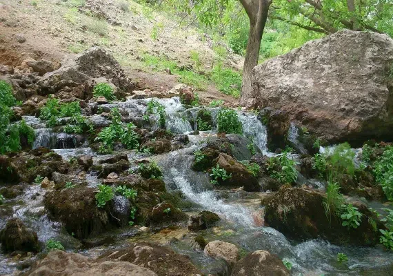 غار کاوات