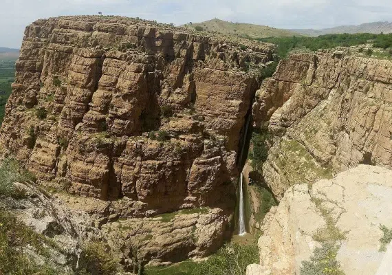 ریجاب