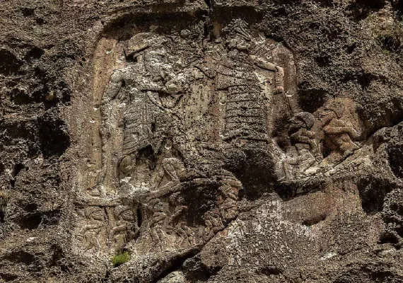 نقش آنوبا نی نی