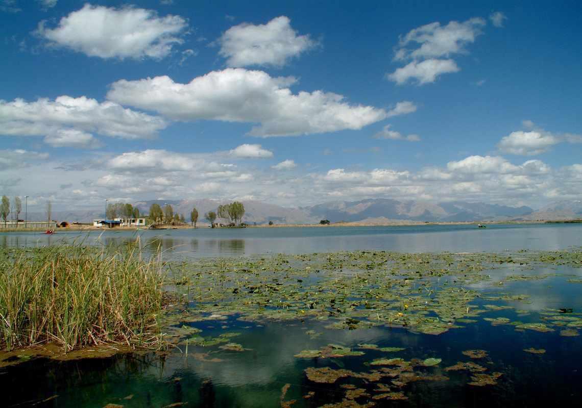 سر آب نیلوفر