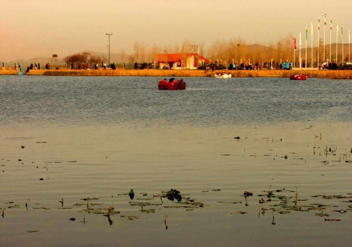 سر آب نیلوفر