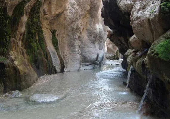 چشمه آبگرم مرتضی علی