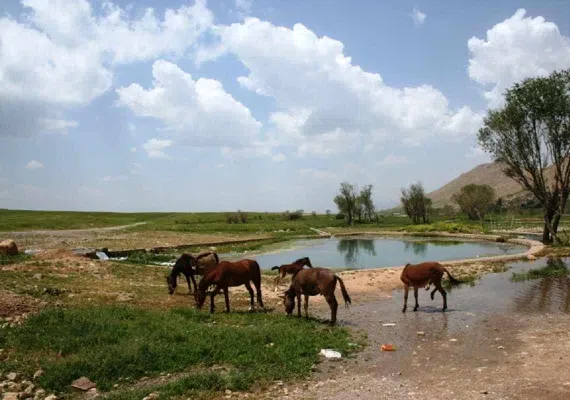 سراب زز