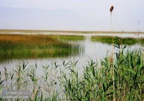 تالاب شادگان