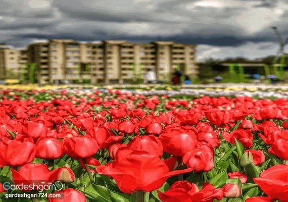 پارک گوللر باغی ارومیه