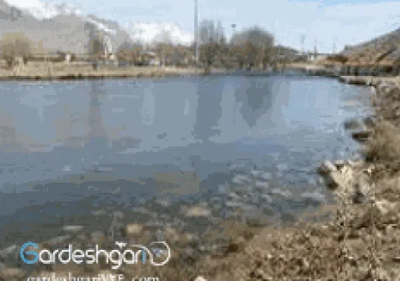 دریاچه ی شلمزار شهرکرد
