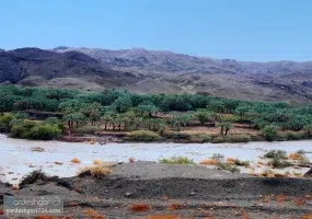 روستای تخت ملک نیک شهر