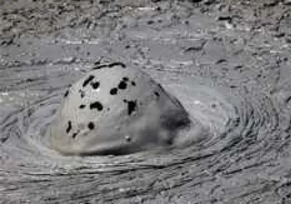 گل فشان تنگ، حیرت انگیز ترین پدیده ی سیستان و بلوچستان