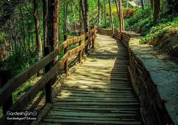 پارک جنگلی طالقانی، تماشای تهران از روی پل طبیعت