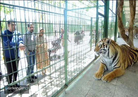 باغ وحش وکیل آباد مشهد