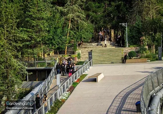 پارک جنگلی طالقانی، تماشای تهران از روی پل طبیعت