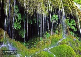 آبشار کبودوال، بزرگترین آبشار خزه ای جهان