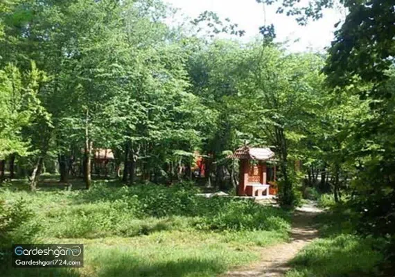 پارک جنگلی قرق