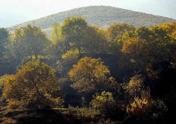 روستای پیر بالا مرند