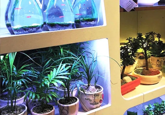 مرکز خرید پالادیوم کجاست؟