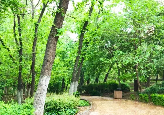 بهترین و معروف ترین پارک های تهران