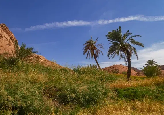 روستای ازمیغان طبس