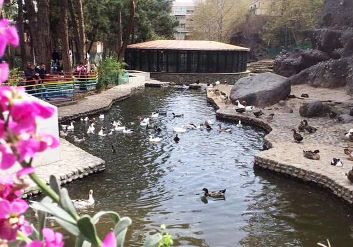 پارک ساعی تهران