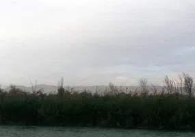 پارک جنگلی خارستان بهبهان