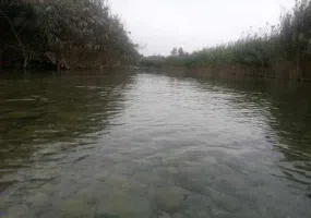 پارک جنگلی خارستان بهبهان