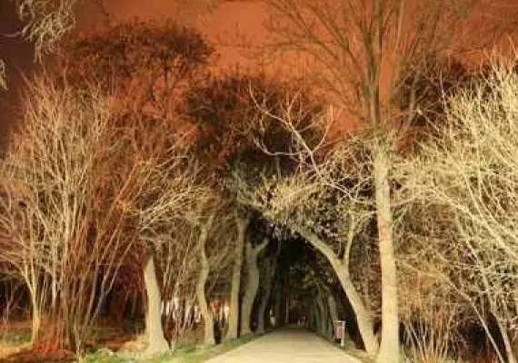 باغ شوکت آباد بیرجند