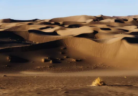 ریگزار و کویر بکر بشرویه