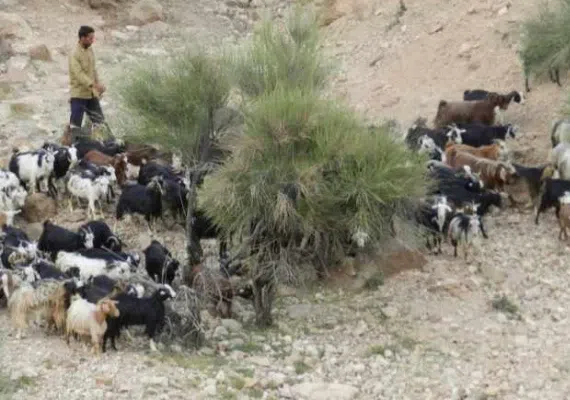 روستای نیگنان