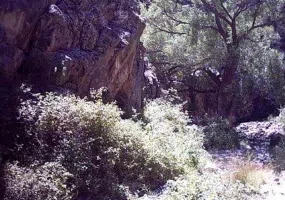 چشمه گرماب