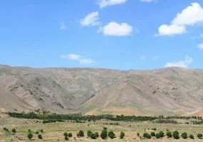 منطقه شکار ممنوع کمرسرخ، معدن داروهای گیاهی