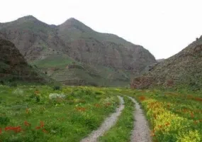 پارك چهلمیر درگز