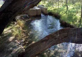 چشمه گیلاس چناران