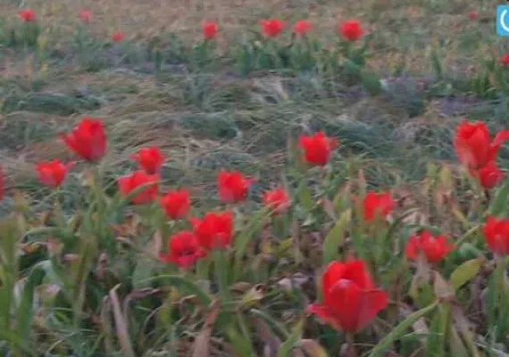 غار دیو ورزق