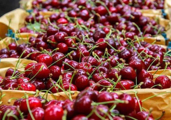 دره بازخانه بجنورد کجاست؟