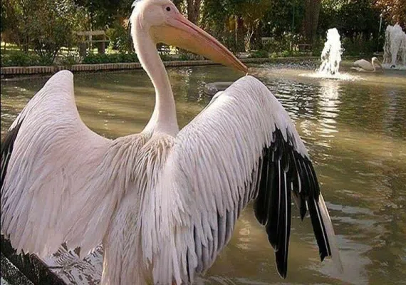 باغ گلشن طبس