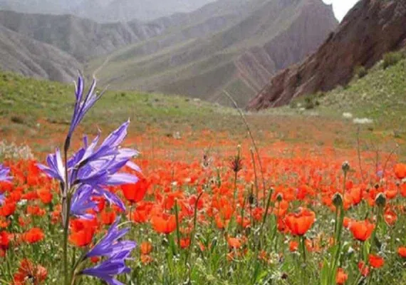 پارک ملی ساریگل