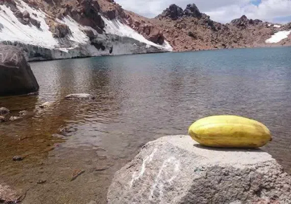 تنگل و بند استاي