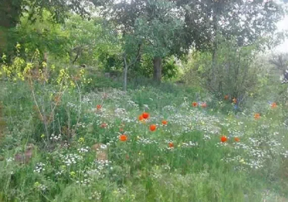 روستای اسفادنماد زیبایی شهرستان زیر کوه