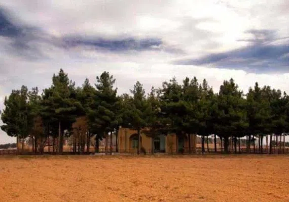 ابوعثمان سعید بن سلام مغربی