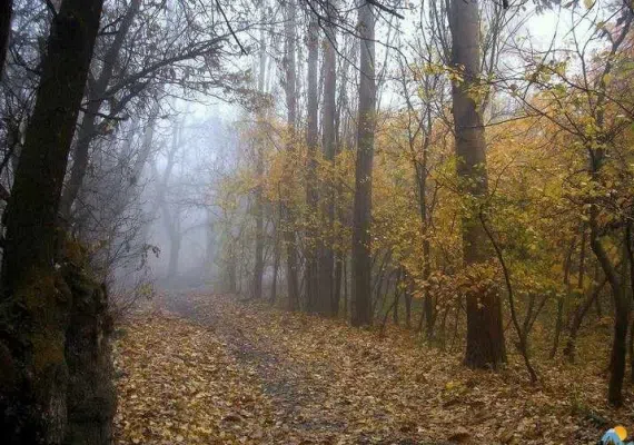 ییلاق طرقبه