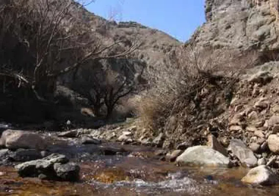 تنگل و بند استاي