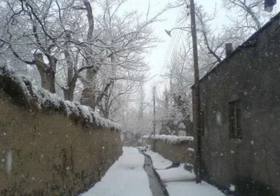 روستای نوفرست