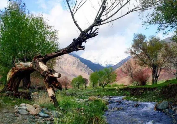 باغرود نیشابور