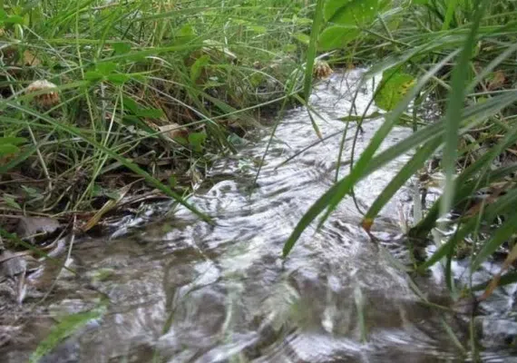 روستای تبارک