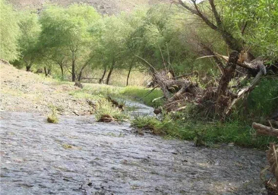 منطقه تفریحی علی آباد