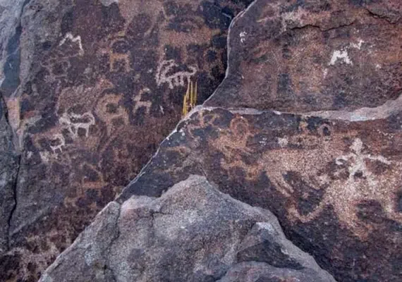 کمر مقبولا بینالود