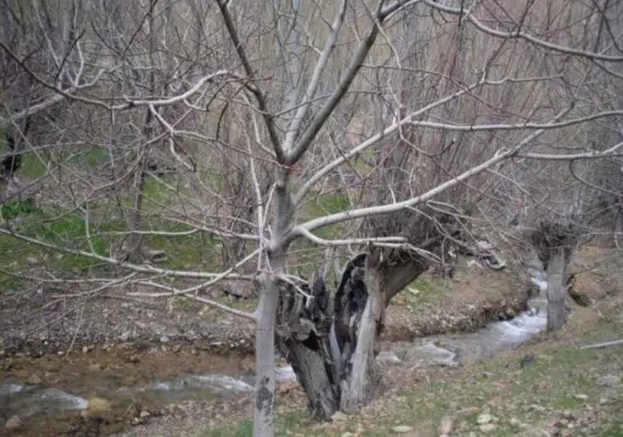 روستای دیزباد نیشابور، زیباترین روستای پلکانی ایران بعد از ماسوله