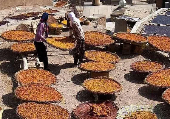 شهر ییلاقی خرو نیشابور