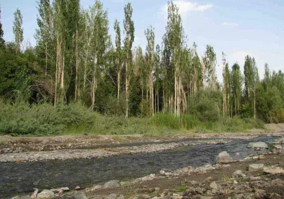 روستای نامق