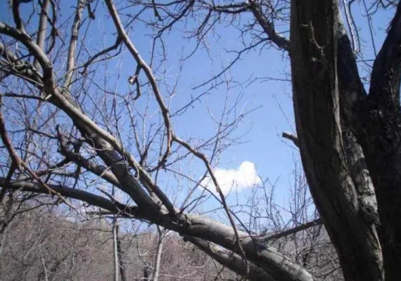 روستای دیزباد نیشابور، زیباترین روستای پلکانی ایران بعد از ماسوله